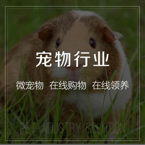 金昌宠物