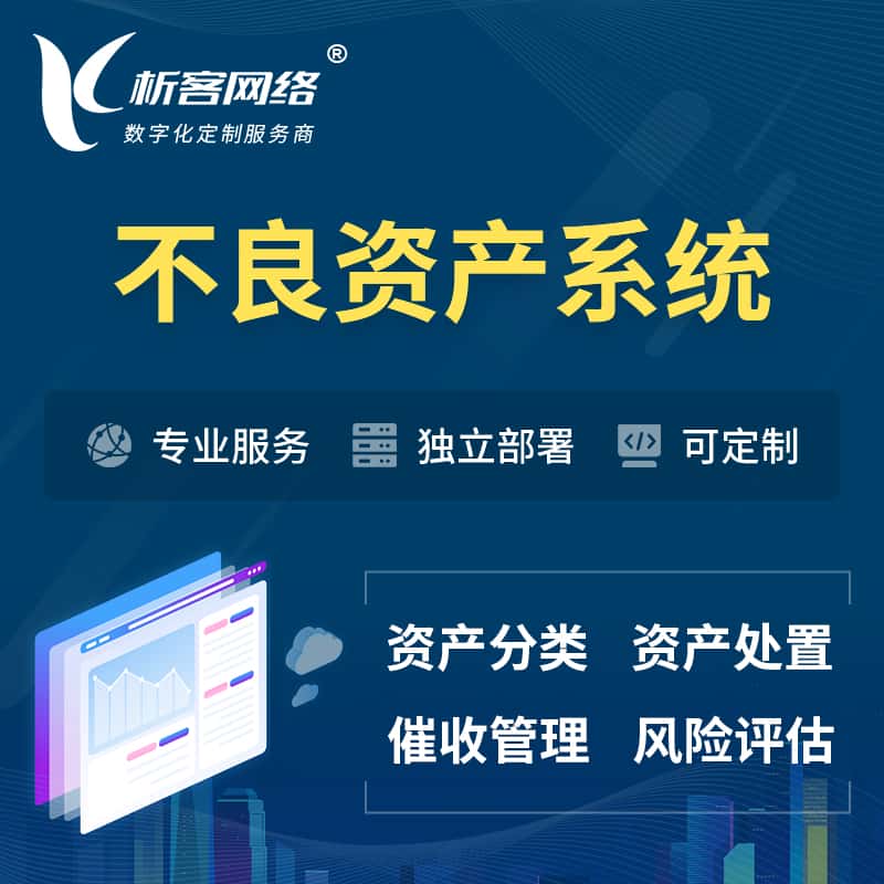 金昌不良资产管理系统